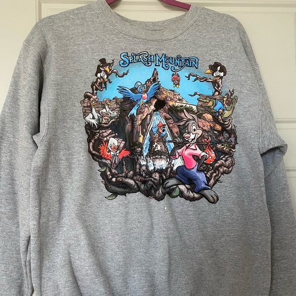 splash mountain sweatshirt